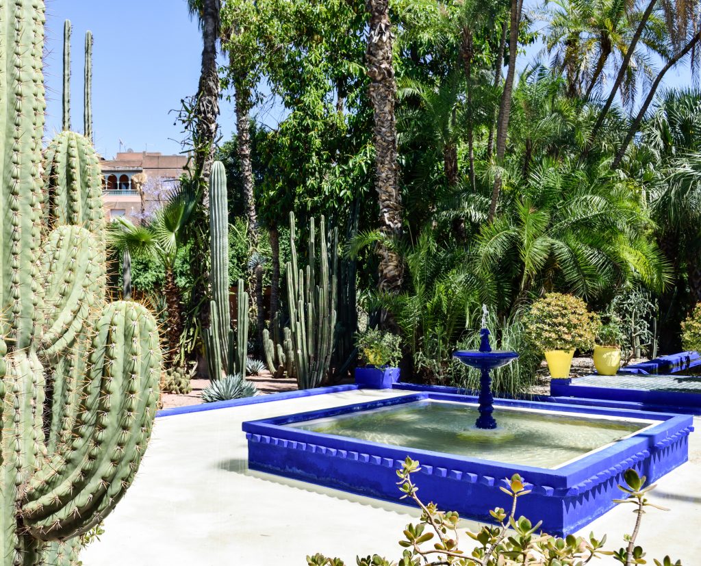 vasche blu jardin majorelle